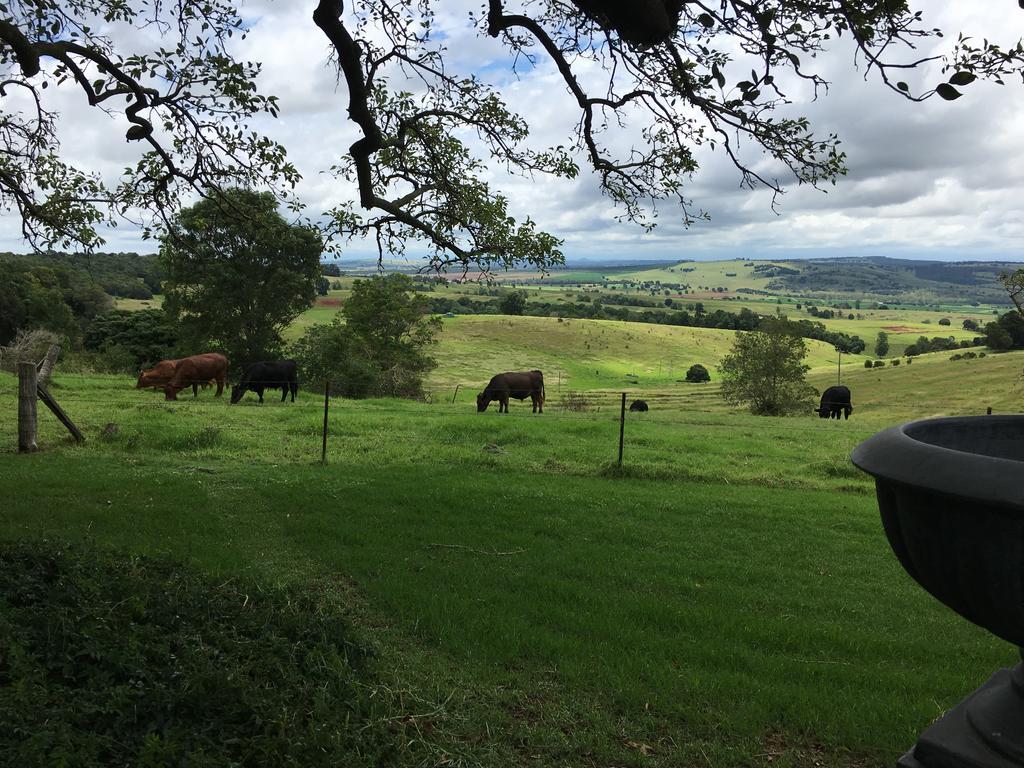 Hillview Cottages Kingaroy Bagian luar foto