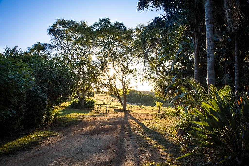 Hillview Cottages Kingaroy Bagian luar foto